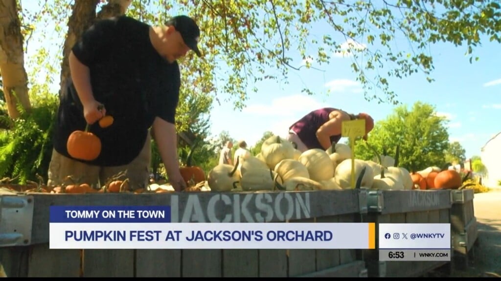 Tommy On The Town: Jackson's Orchard