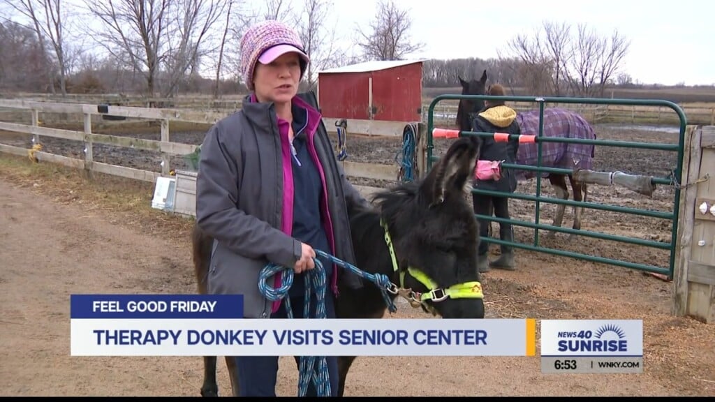 Feel Good Friday, Therapy Donkey Visits Senior Center