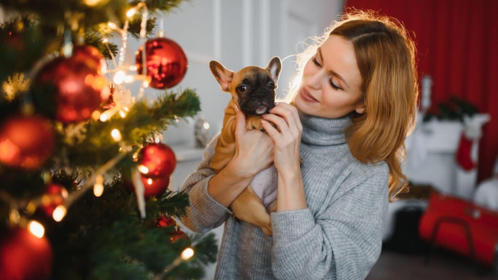 adopting pets around the holidays